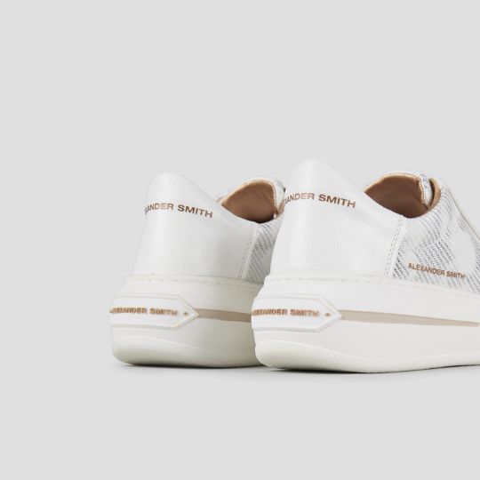 Progetto senza titolo – 2026-03-31T170620.629