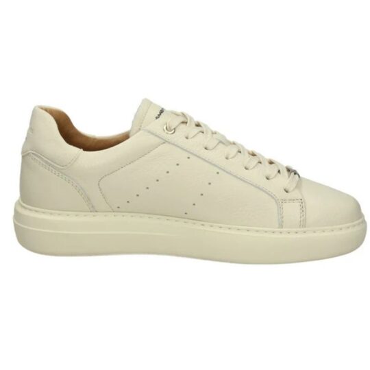 Sneakers Ambitious Bott. Off White